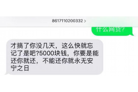 港口企业清欠服务